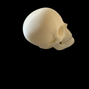 21cm Skull Lamp Shade