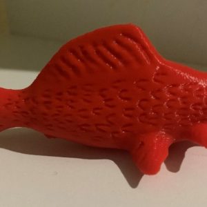 Fish Toy