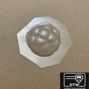 Raspberry Vacuform Mould