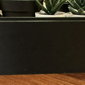 Nintendo DS Lite Charging Cradle